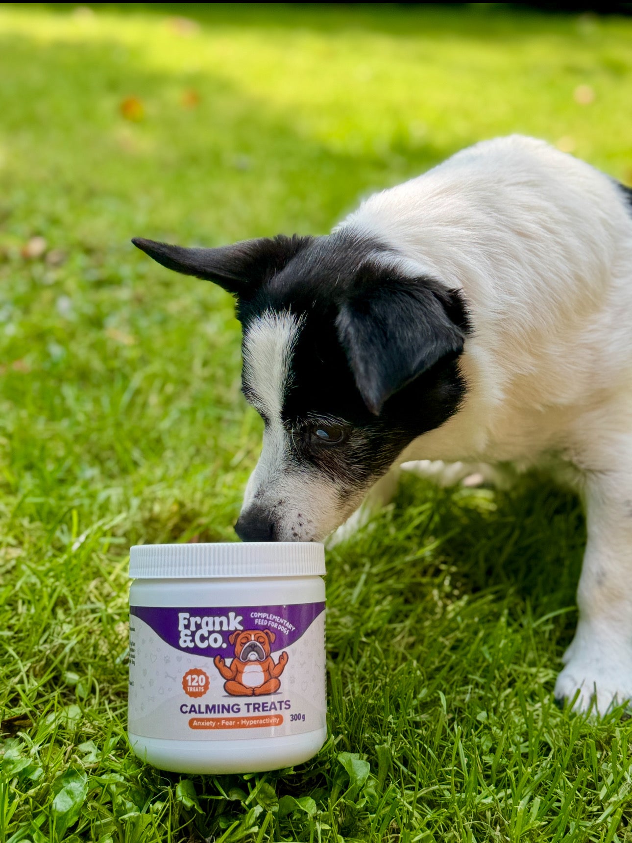 Frank & Co natural calming treats – probiotic & magnesium for dogs