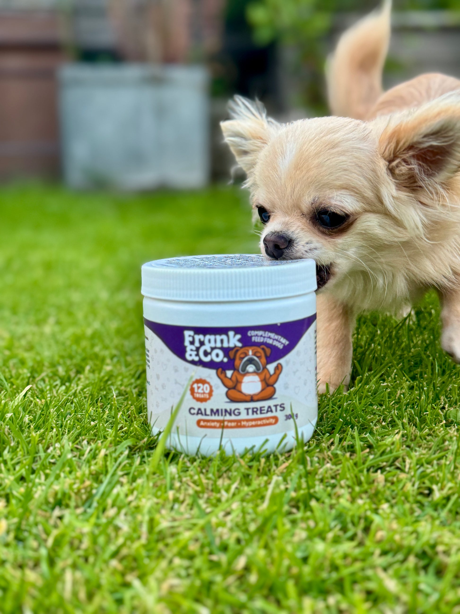 Frank & Co natural calming treats – probiotic & magnesium for dogs